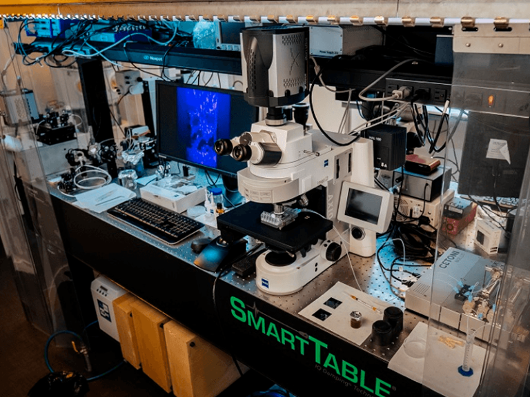 IBM anuncia tecnología basada en Inteligencia Artificial para optimizar el uso de recursos naturales