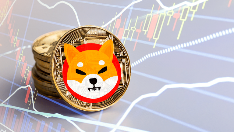 Shiba Inu como única criptomoneda capaz de superar la crisis